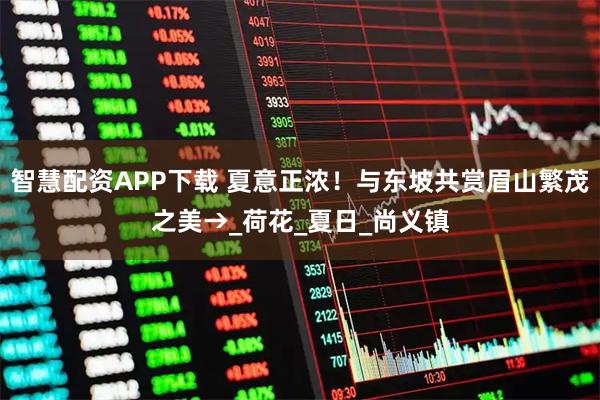 智慧配资APP下载 夏意正浓！与东坡共赏眉山繁茂之美→_荷花_夏日_尚义镇