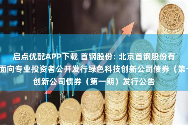 启点优配APP下载 首钢股份: 北京首钢股份有限公司2025年面向专业投资者公开发行绿色科技创新公司债券（第一期）发行公告
