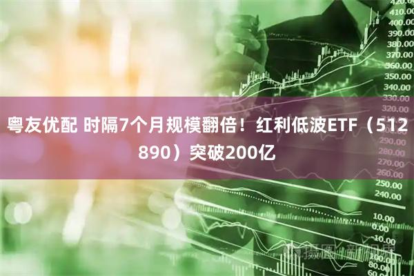 粤友优配 时隔7个月规模翻倍！红利低波ETF（512890）突破200亿