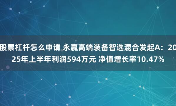 股票杠杆怎么申请 永赢高端装备智选混合发起A：2025年上半年利润594万元 净值增长率10.47%
