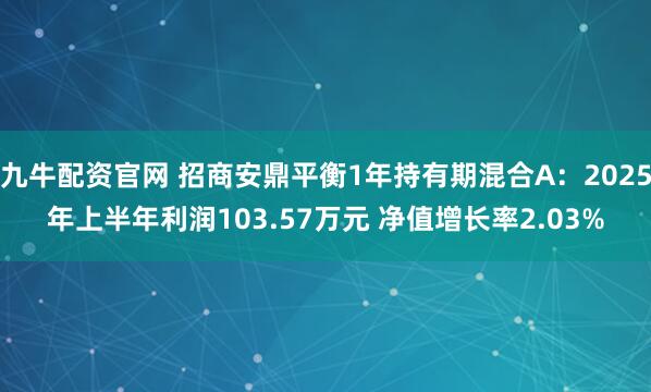 九牛配资官网 招商安鼎平衡1年持有期混合A：2025年上半年利润103.57万元 净值增长率2.03%